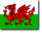 Flagge Wales
