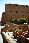 Karnak_02_1000.jpg