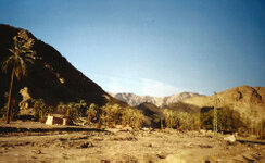 Sinai_04_1000.jpg