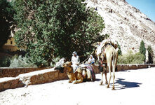 Sinai_13_1000.jpg