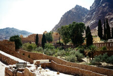 Sinai_17_1000.jpg