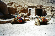 Sinai_20_1000.jpg