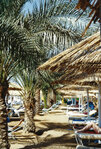 Sharm_el_Sheik_04_1000.jpg