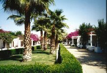 Sharm_el_Sheik_12_1000.jpg