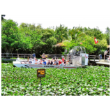 In den Everglades