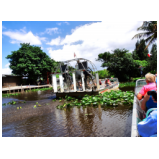 In den Everglades