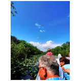 In den Everglades