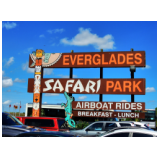 In den Everglades