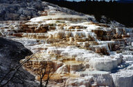 10_Yellowstone18_1000.jpg