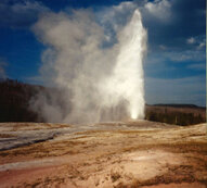 10_Yellowstone25_1000.jpg