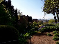 Alhambra_030.jpg