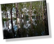 In Ubirr - Kakadu Nationalpark - Northern Territory