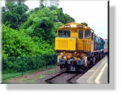 Die Lokomotive nach Kuranda - Queensland
