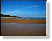 Am Strand von Silverleaves