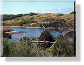 Silverleaves, Swan Lake und Rhyll Inlet