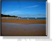 Am Strand von Silverleaves