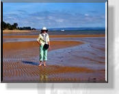 Am Strand von Silverleaves