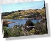 Silverleaves, Swan Lake und Rhyll Inlet