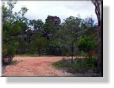 Im Kakadu-Nationalpark