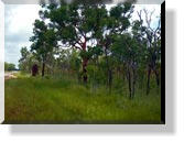 2. Tag im Kakadu-Nationalpark
