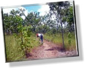 2. Tag im Kakadu-Nationalpark