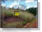 2. Tag im Kakadu-Nationalpark