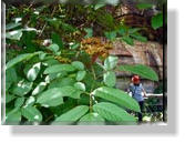 Ubirr, Teil des Kakadu-Nationalparks