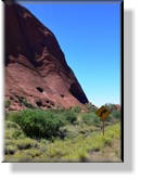 Uluru - Ayers Rock