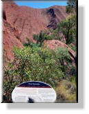 Uluru - Ayers Rock