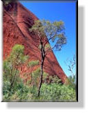 Uluru - Ayers Rock