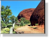 Uluru - Ayers Rock