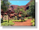 Uluru - Ayers Rock