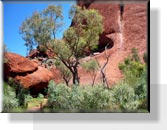 Uluru - Ayers Rock