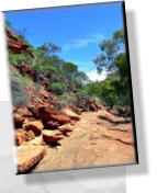 Watarrka - Im Kings Canyon