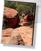 Watarrka - Im Kings Canyon