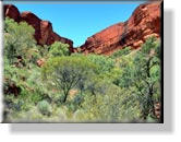 Watarrka - Im Kings Canyon