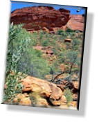 Watarrka - Im Kings Canyon