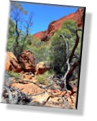 Watarrka - Im Kings Canyon