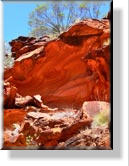 Watarrka - Im Kings Canyon