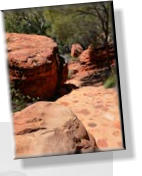 Watarrka - Im Kings Canyon