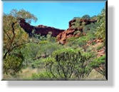 Watarrka - Im Kings Canyon