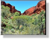 Watarrka - Im Kings Canyon