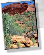 Watarrka - Im Kings Canyon