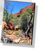 Watarrka - Im Kings Canyon