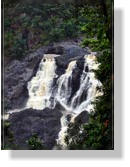 Der Barron Falls von der Skyrail aus gesehen.