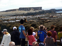 Die Seal Rocks