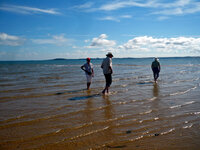Am Strand von Silverleafs