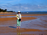 Am Strand von Silverleafs