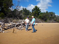 Am Strand von Silverleafs