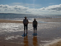 Am Strand von Silverleafs